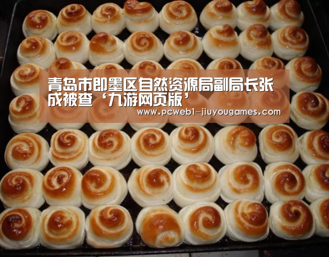 九游