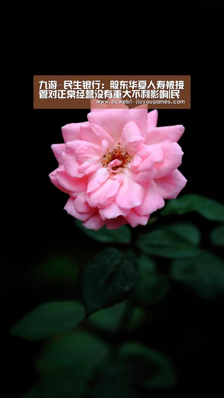 九游-民生银行:股东华夏人寿被接管对正常经营没有重大不利影响|民生银行(图3) 九游官方网站