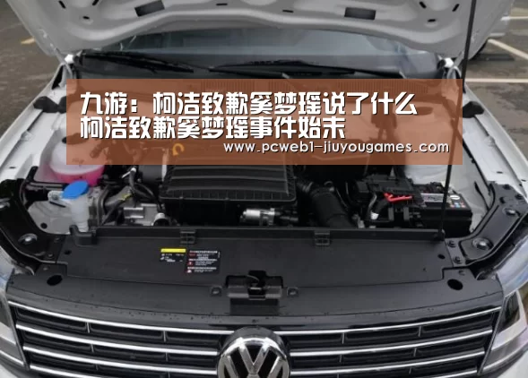 九游:柯洁致歉奚梦瑶说了什么 柯洁致歉奚梦瑶事件始末(图2) 九游首页